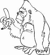 Orangutanes Pueda Deseo Aporta Utililidad sketch template