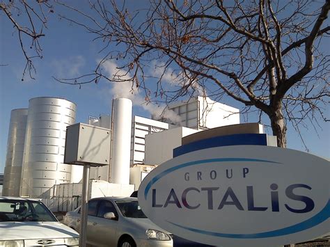 lactalis  control   quarter  romanian dairy market