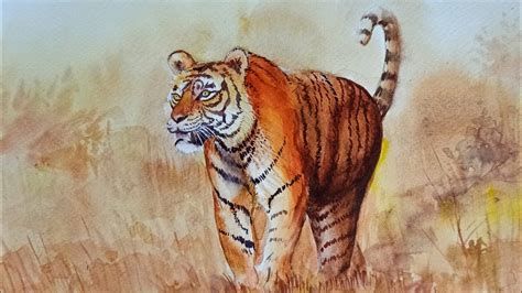 draw  royal bengal tiger  watercolor youtube