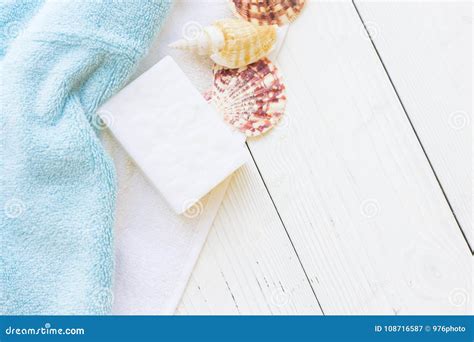 sea shell spa concept stock image image  moisture