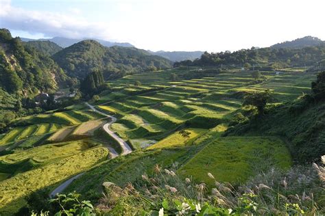 shikamura rice terraces okura mura