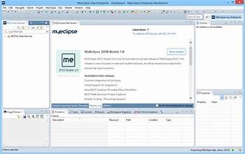 MyEclipse Enterprise Workbench (formerly MobiOne Design Center) screenshot #2