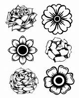 Marigold Coloring Flowers Flower Pages Printable Drawing Rose Adult Colouring Sweeps4bloggers Kids Silhouette Sheets Color Pattern Svg Choose Board Sketch sketch template