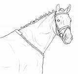 Lineart Pferde Pferdekopf Brush Ausdrucken sketch template