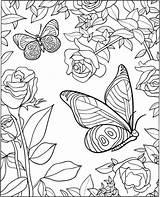 Volwassenen Kleurplaat Bloemen Vlinders Kleurplaten Downloaden sketch template