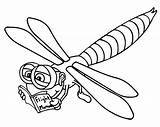 Dragonfly Coloring Pages sketch template