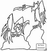 Coloring Pages Hawk Red Tailed Iowa Tony Prey Birds Getcolorings Getdrawings Tail Printable Colorings sketch template