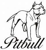 Pitbull Coloring Pages Dog Drawing Pitbulls Puppy Line Bulls Step Color Printable Draw Drawings Para Clipart Cartoon Chicago Pit Bull sketch template