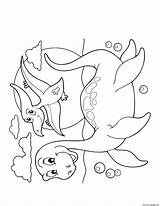 Dinosaur Swimming Coloring Plesiosaurus Cartoon Flying Printable Pages Above Book sketch template