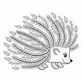 Hedgehog Igel Ausmalbild Zentangle Tribal Erwachsene Ornamental Grafiken Pw sketch template