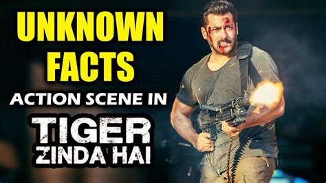 Salmans Tiger Zinda Hai Action Scenes All You Want To Know About