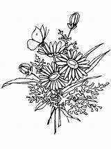 Coloring Pages Adults Flower Printable Popular sketch template