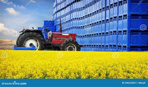agricultural farm production royalty  stock images image