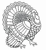 Mandala Pages Coloring Music Thanksgiving Getcolorings Printable sketch template