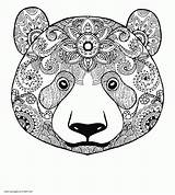 Coloring Adult Pages Animal Adults Bear Printable Face Print Animals Sheets Colouring Look Other sketch template
