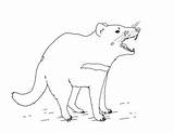 Devil Tasmanian Coloring Draw sketch template