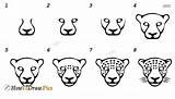 Jaguar Draw Step Drawing Lessons sketch template
