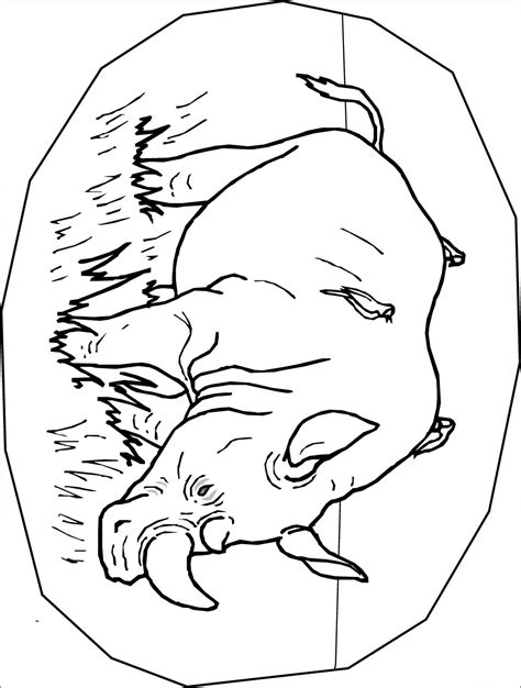rhino coloring page coloringbay