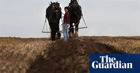 a ploughing lesson for beginners life and style the guardian