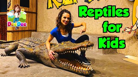 reptiles  kids educational  youtube