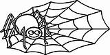 Spiders sketch template