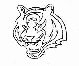 Bengals Cincinnati Logo Tiger Letters Etc Logos Weebly Store P31 sketch template