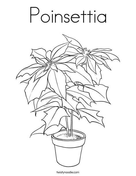 poinsettia coloring page twisty noodle