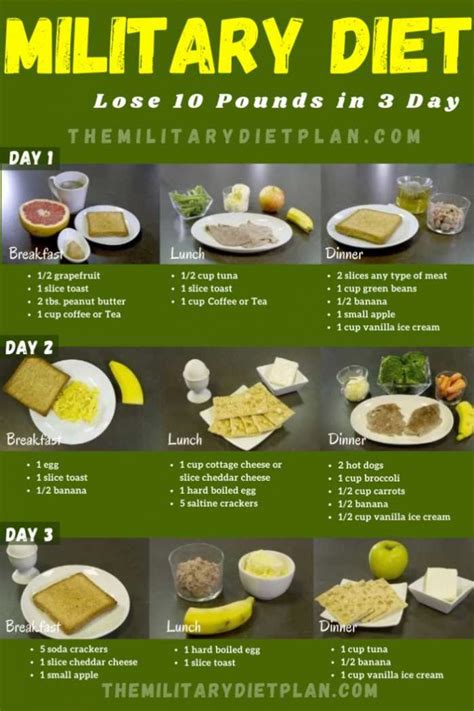 day military diet  lose  pounds   day