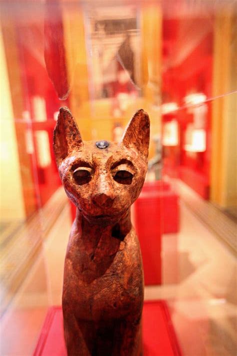 ‘divine felines cats of ancient egypt at the brooklyn museum the