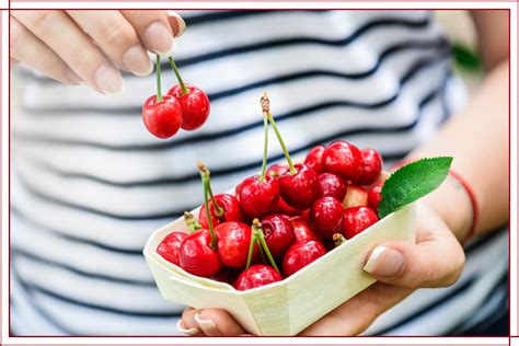 cherry  fruit  berry sharis berries blog
