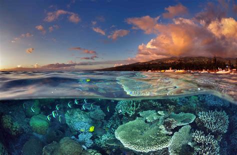 ile de la reunion  raisons de visiter le joyau de locean indien