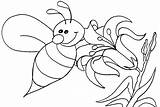 Bee Coloring Bumble Pages Honey Queen Cute Cartoon Drawing Color Beehive Outline Printable Bees Bumblebee Kids Easy Getcolorings Print Getdrawings sketch template