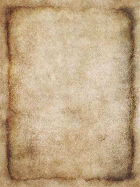 parchment texture  stock photo  paper background stock  texture