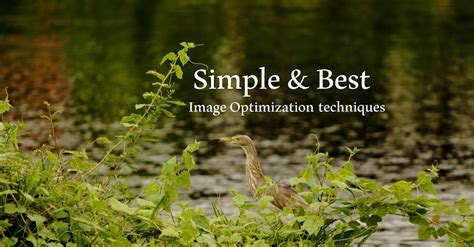 simple   image optimization techniques  boost  seo