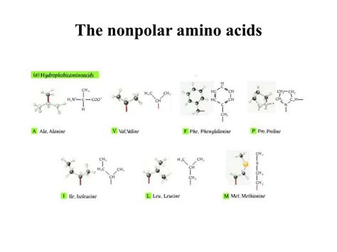 amino acids polar nonpolar chart