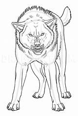 Sketch Lobo Skizze Anime Snarling Dragoart Zeichnungen Zeichnung Werewolf Lobos Resultado sketch template
