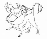 Coloring Pumbaa Pages Random sketch template