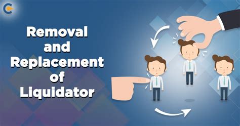 removal and replacement of liquidator corpbiz advisors