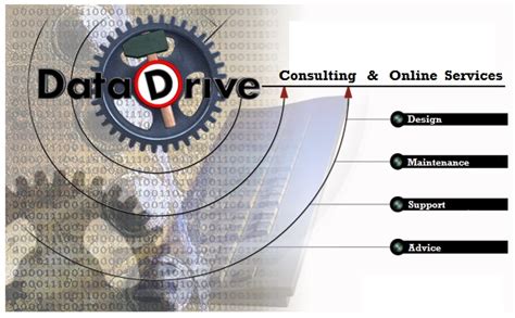 datadrive consulting