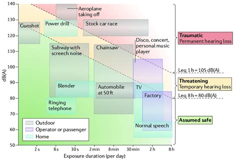typical range  common noise exposure durations  levels    scientific diagram