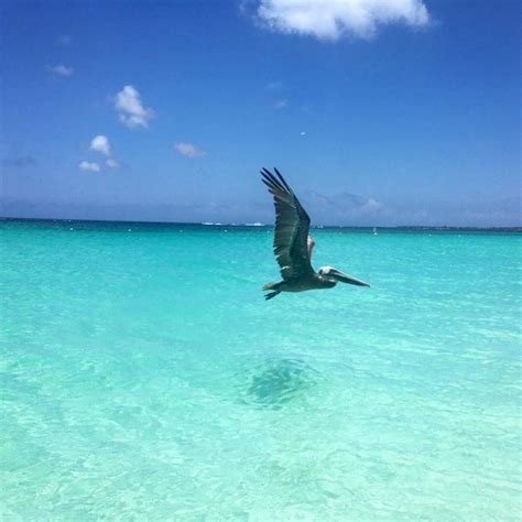 soaring flying aruba vacations top vacation destinations aruba resorts