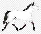 Horse Clipart Coloring Colouring Pages Outline Mustang Clip Horses Pretty Transparent Animal Info Pinclipart Sheet Line Nicepng Middle sketch template