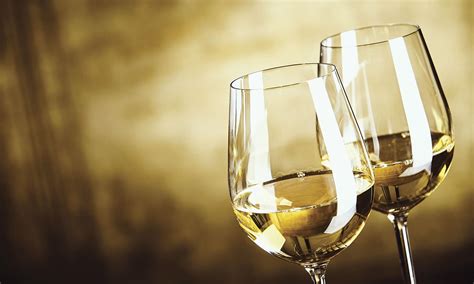 guide  spanish wines  wine regions  spain marbella wine