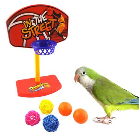 set parrot pet products supplies balls pet birds chew toy parakeet bell balls parrot toys birds