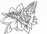 Mariposas Swallowtail Pintar Batman Mariposa Posada Monarch Clipartmag sketch template