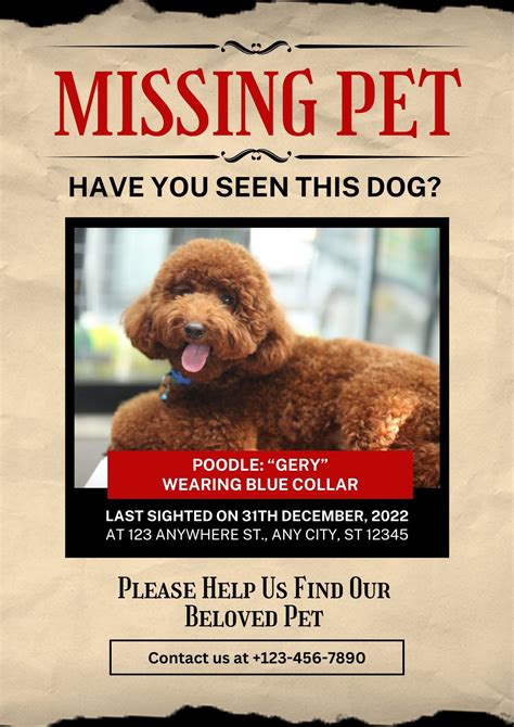 find  missing dog