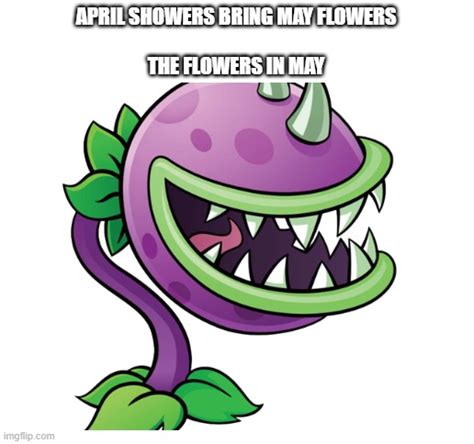 april showers brings  flowers imgflip