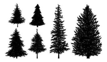 pine tree vector art icons  graphics