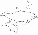 Dolphins Coloring Coloringcrew sketch template