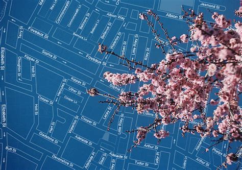 blossoms map   article  milkwood      flickr